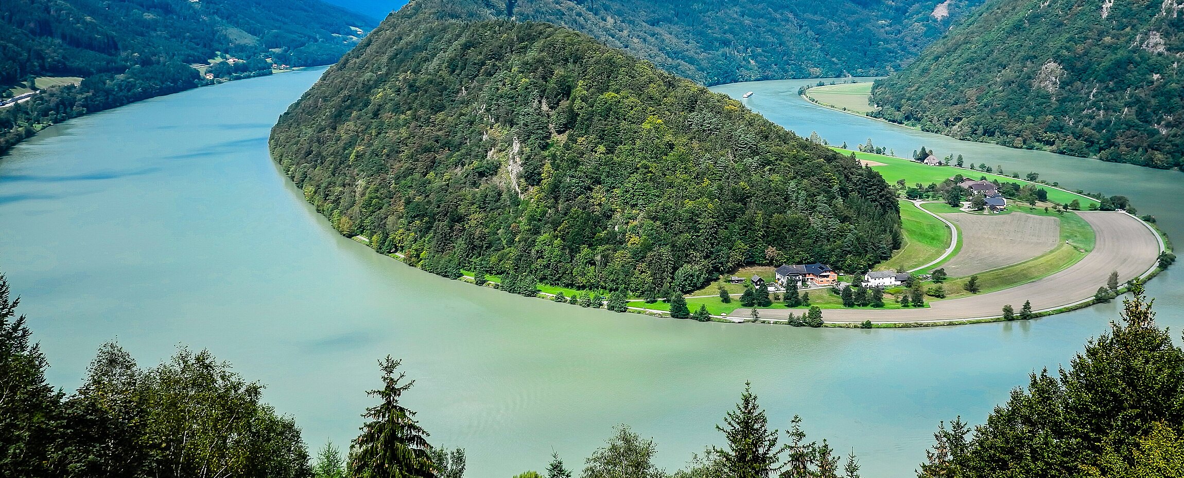 Blick von oben auf die Schlögener Schlinge bei Schlögen an der Donau im Sommer.