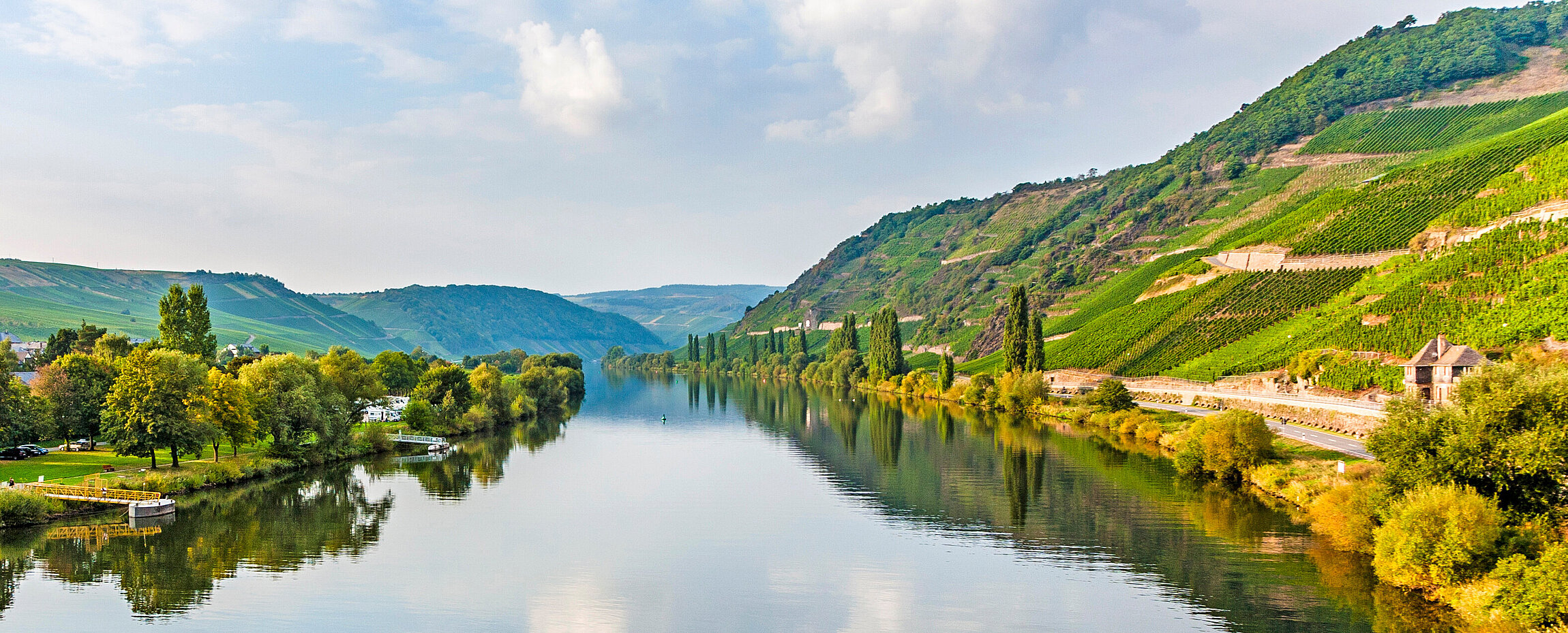 Trittenheim an der Mosel