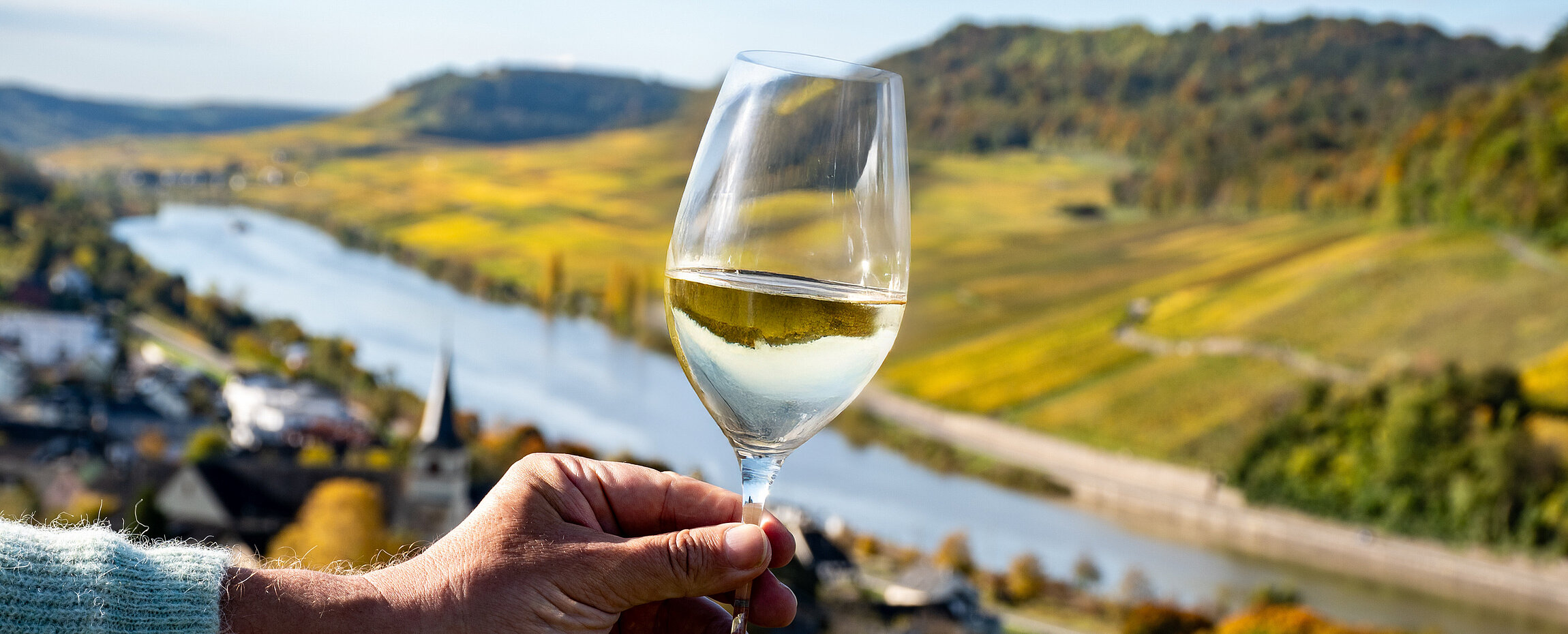 Cremant Weingärten an der Mosel