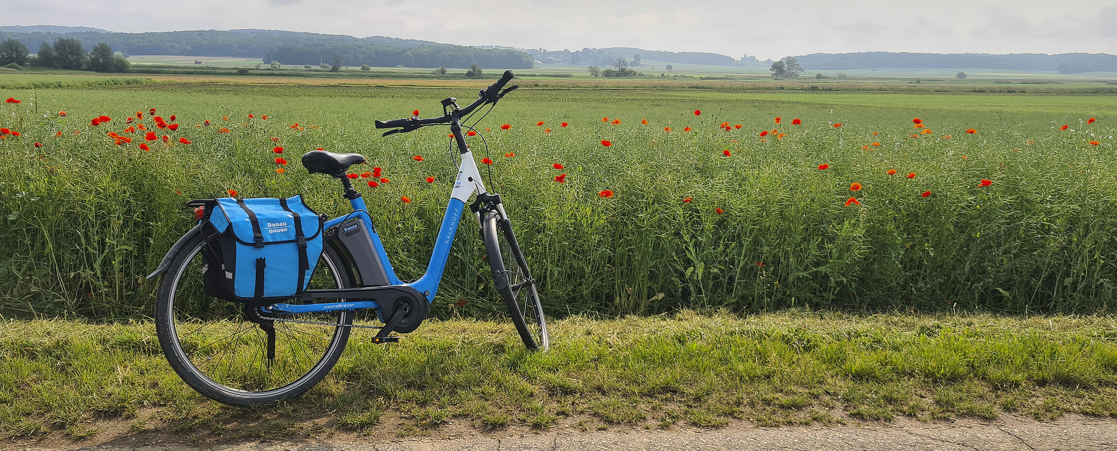Fahrrad in grüner Landschaft mit Mohnblumen am Altmühl-Radweg.