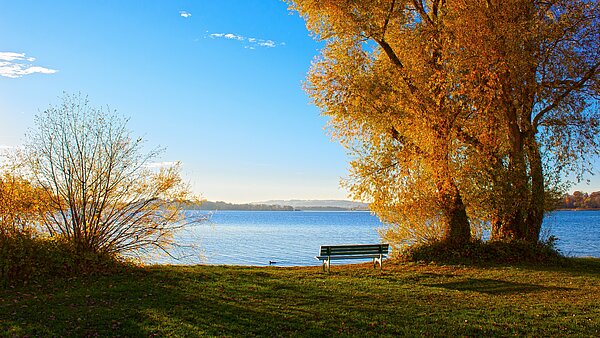 Blick auf den Chiemsee