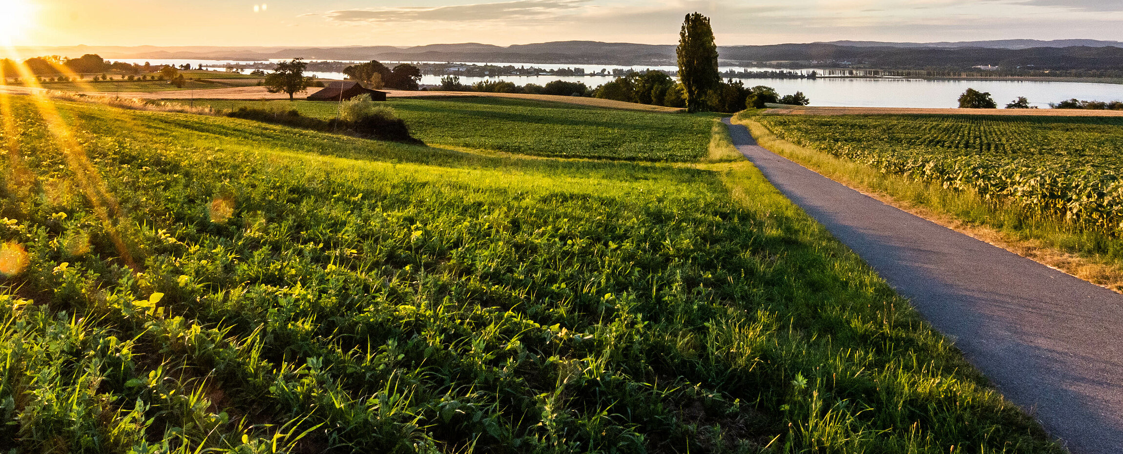 Sonnenuntergang über dem Bodensee.
